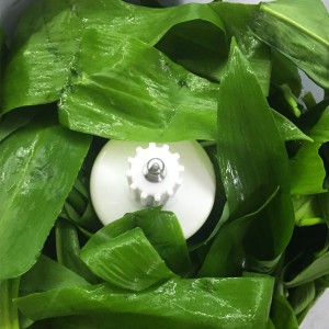 Pesto z medvědího česneku (Pesto of wild garlic)