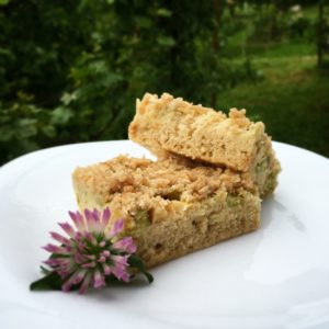 Rebarborová bezlepková buchta (Rhubarb gluten-free cake)