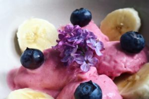 Krémová ovocná zmrzlina bez cukru (Creamy fruit ice cream)